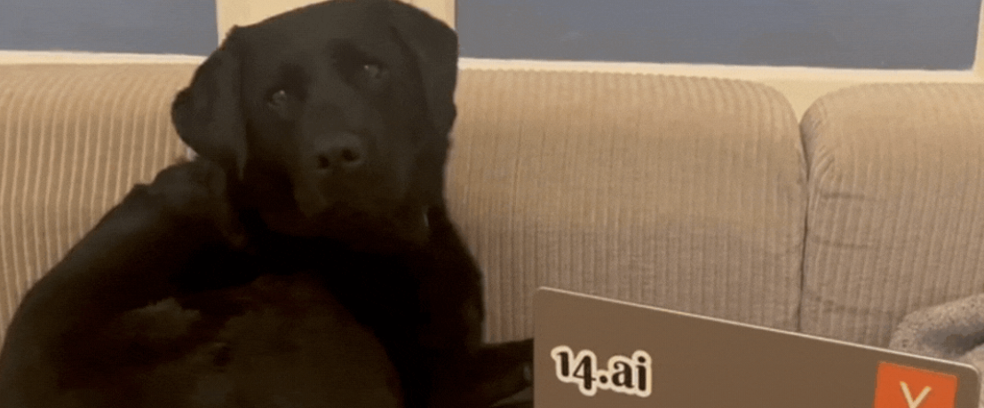 Team spotlight: Riva